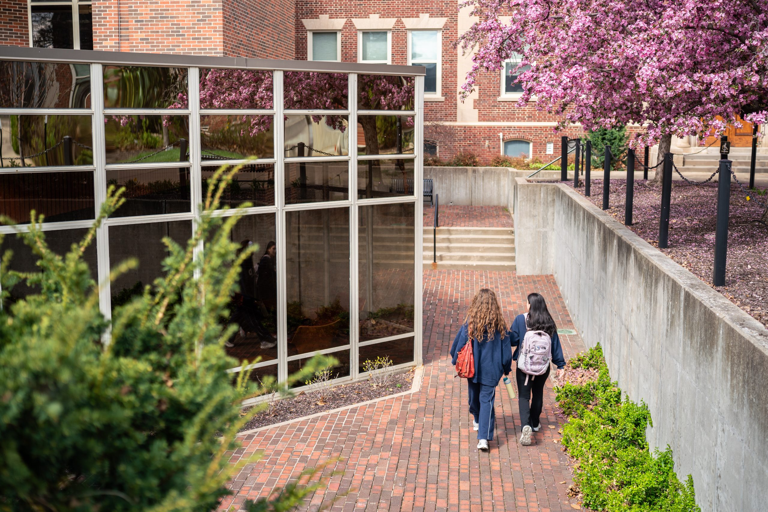Students walking on campus.